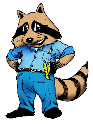 Waschbär, Raumausstattung Brömmelhörster
